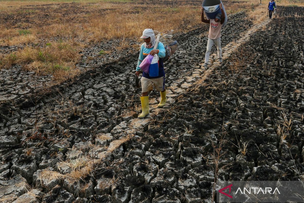 Why delaying climate action could cost Indonesia more