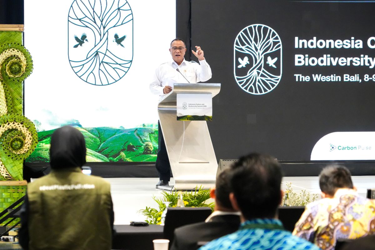 Environment Minister: Carbon Market Development Must Be Based on Real Climate Action