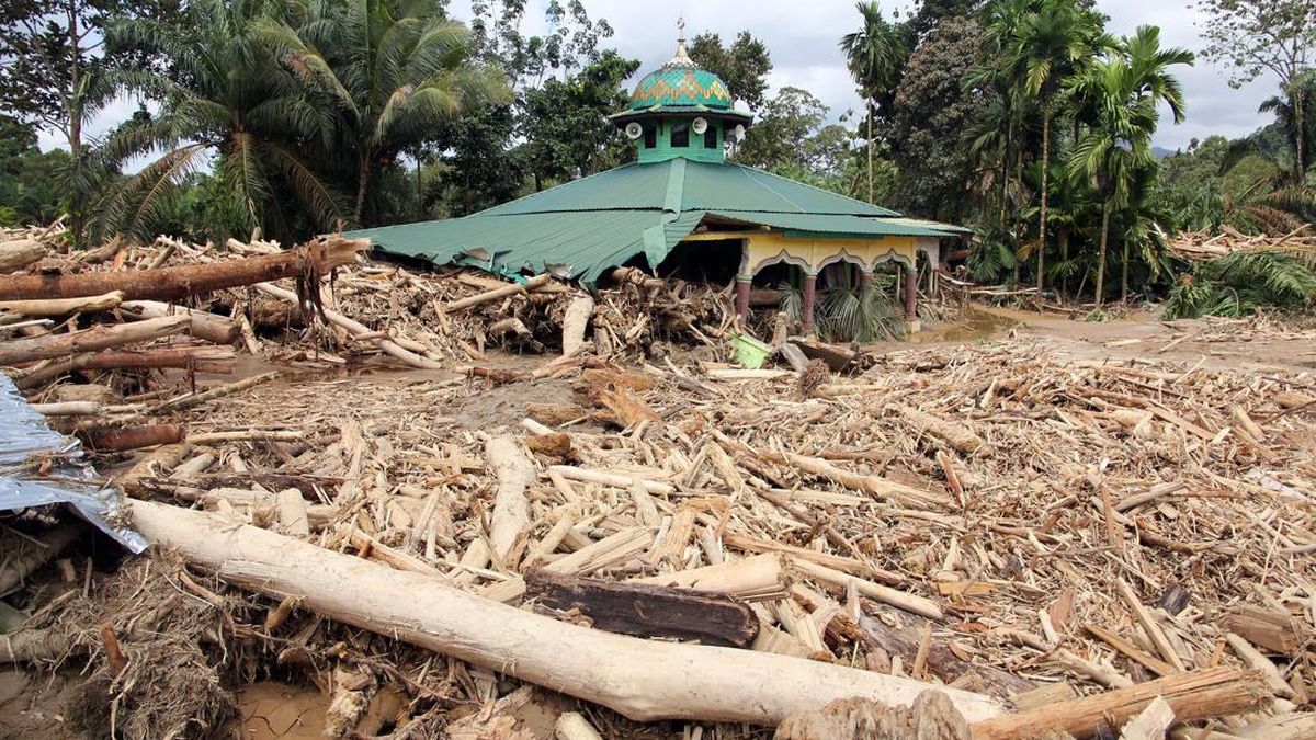 Suspects in Log Timber Case Triggering Sumatra Floods to Face Trial Soon