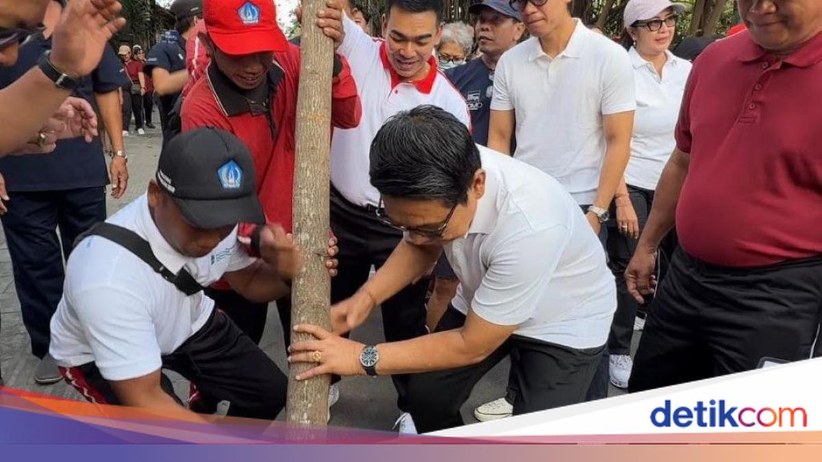 To Keep Canggu Green, Badung Regency Government Plants Trees and Increases Green Open Space
