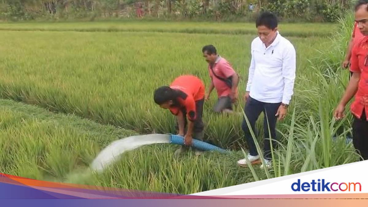 Six Subak Systems Parched by Drought, Badung Regency Deploys Three Water Tankers