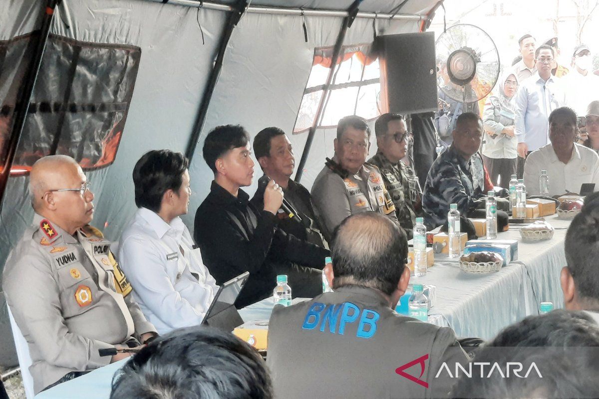 Vice President Gibran Ensures All Elements Maximised to Tackle Forest and Land Fires