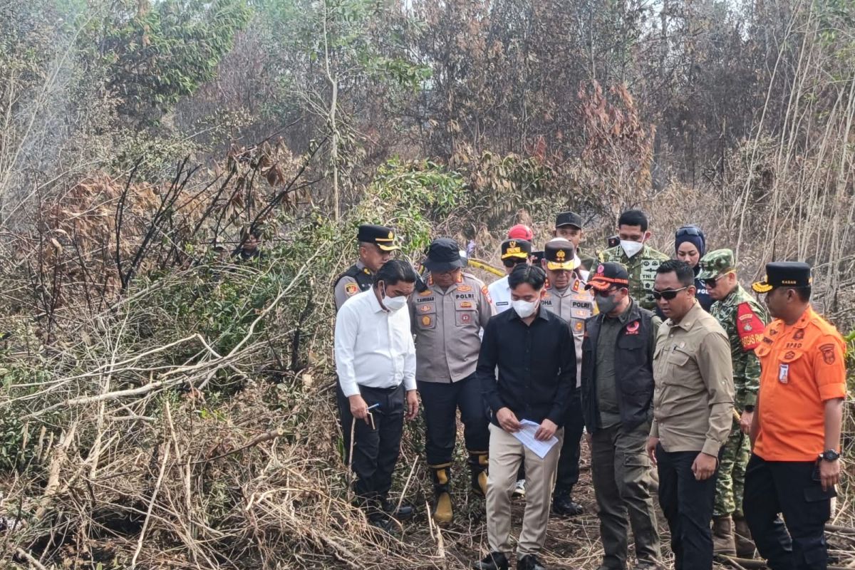 Vice President inspects forest fires in Kalimantan, ensures optimal handling