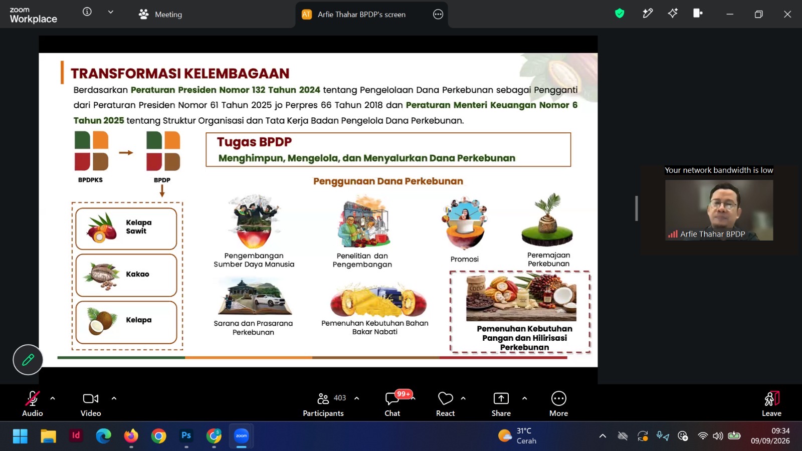 Boosting Cocoa Downstreaming, Government Revitalises Farmers' Plantations