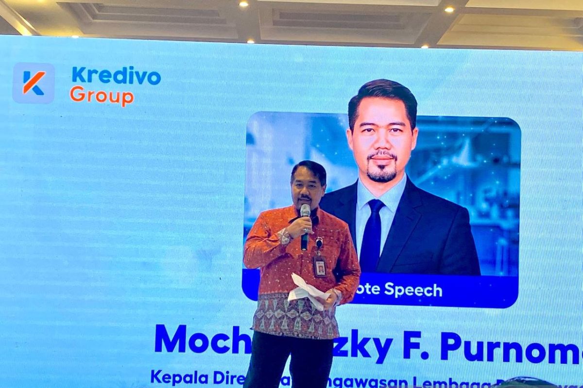 OJK: BNPL outstanding balance share remains small, significant growth potential remains