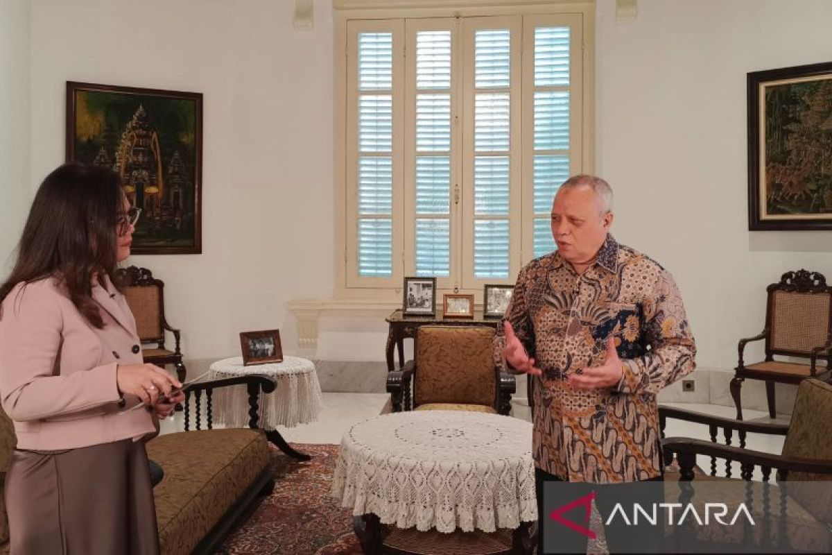 Expert suggests Indonesia should promote BRICS as a moderate and democratic forum