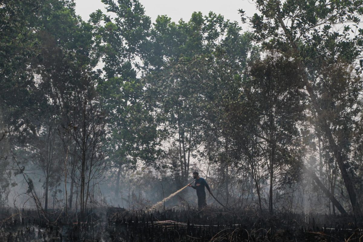 Palangka Raya extends fire, drought emergency status 30 days