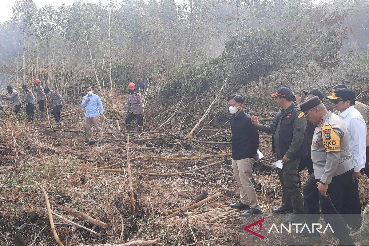 BNPB Prioritises Ground Task Force to Control Forest and Land Fires