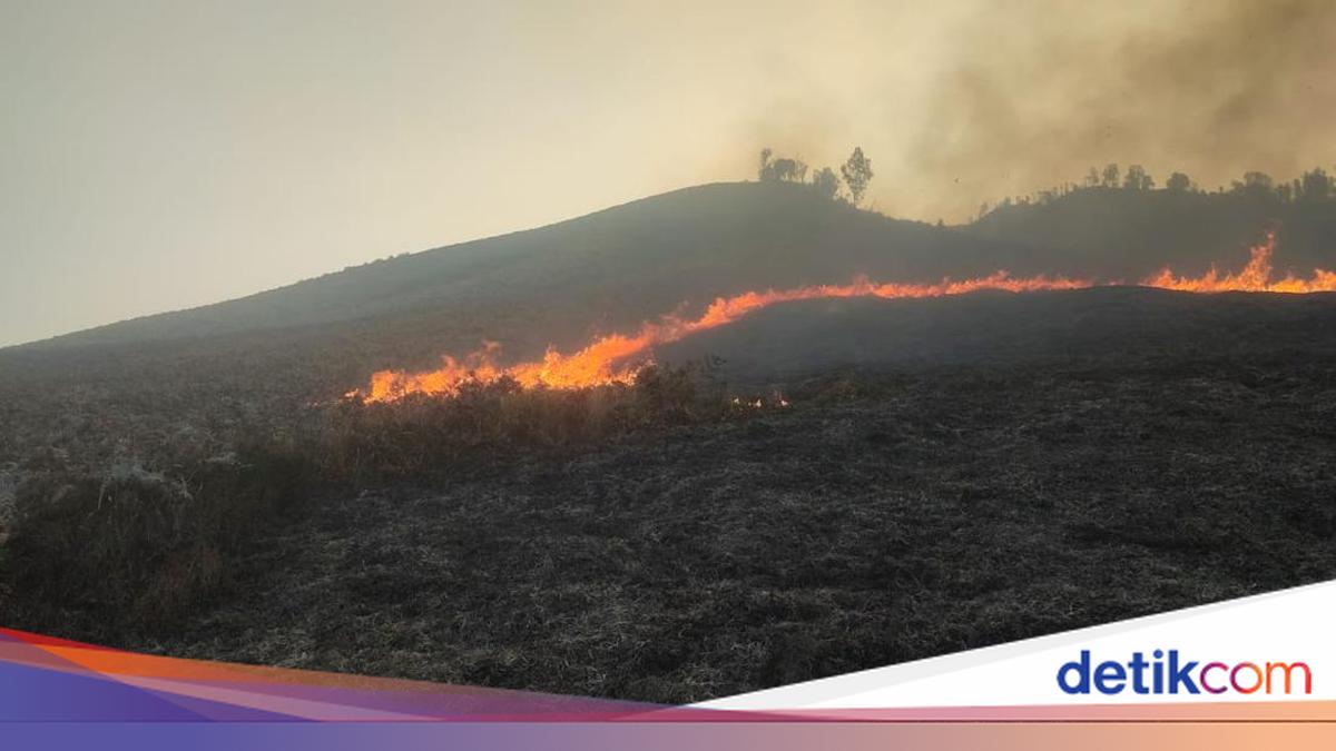 Savannah Area Near Bromo's Teletubbies Hill Caught in Fire