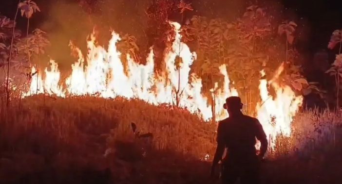 Forest and Land Fires in West Java Spread to 22 Regencies/Cities, 425 Hectares Burned