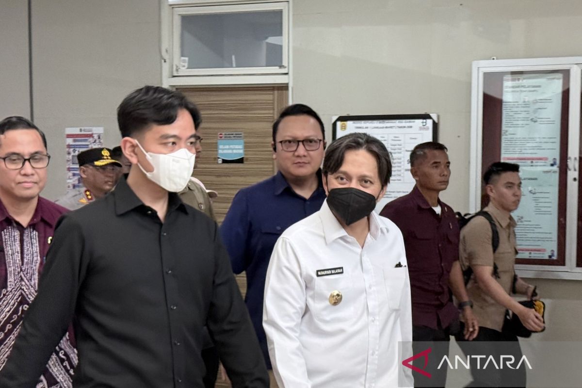 Vice President emphasises hospital readiness for citizens affected by forest fires