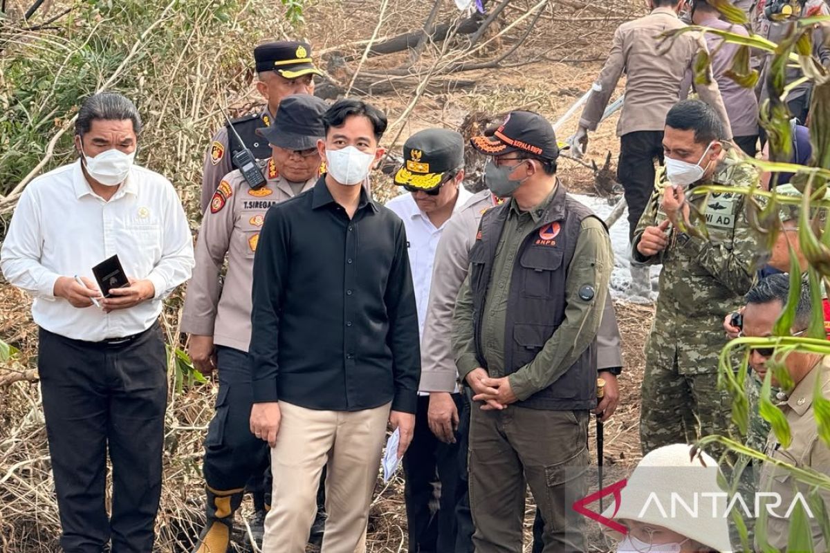 BNPB Deploys 15,000 Personnel to Tackle Forest Fires in West Kalimantan