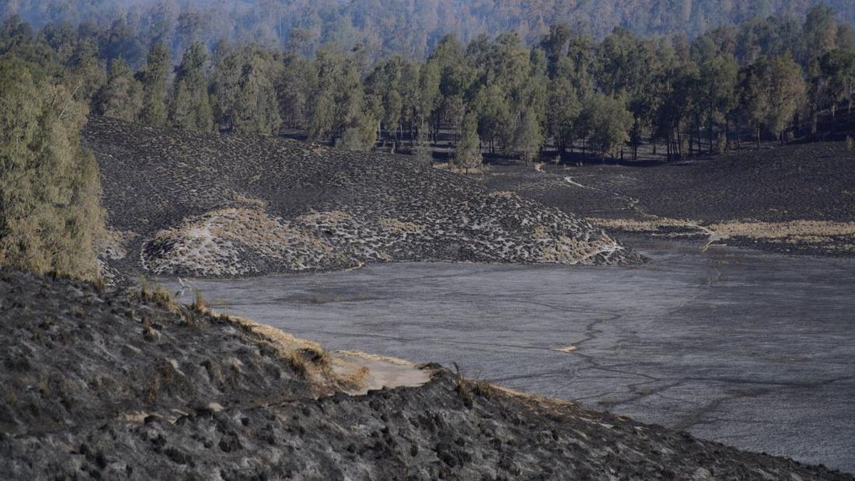 Bromo on Fire Again, Fire Spotted at Pengol Savanna