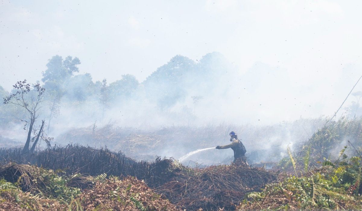 BNPB Deploys 15,000 Personnel to Combat Forest Fires in West Kalimantan