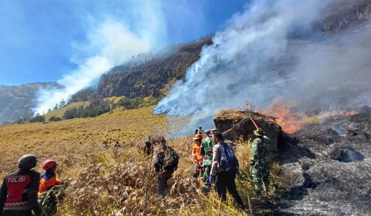 Understanding PM2.5: The Invisible Threat Behind Forest Fire Haze