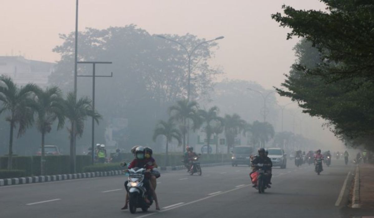 Understanding the Hidden Threats Behind Forest Fire Smoke