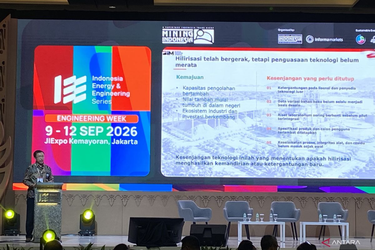 Indonesia needs partnerships to master rare earth element technology