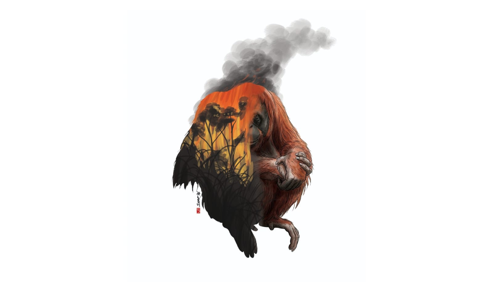Sempurna and the Sentinel Species We Ignore