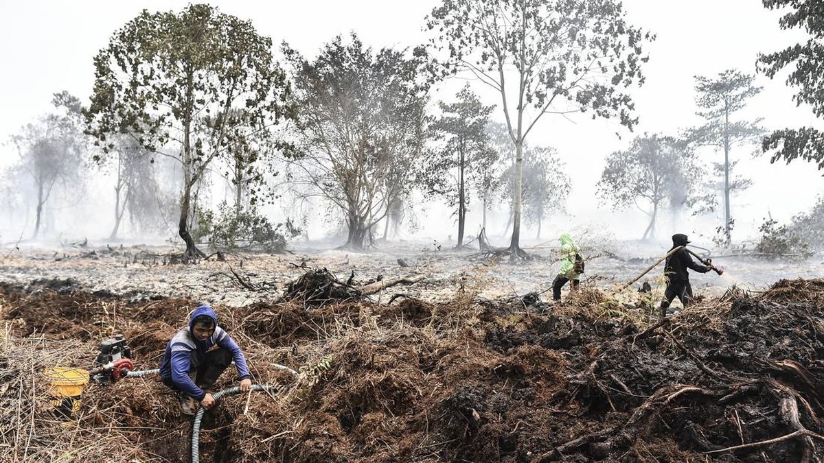 Confessions of Jambi Farmers Named Suspects in Forest Fire Case