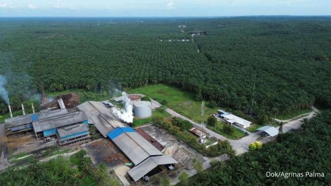Agrinas Palma and Pertamina Accelerate Integrated Bioenergy Development