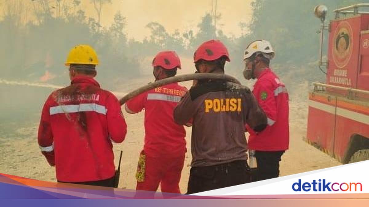 Rain Falls in Berau, East Kalimantan, Prompting Forest Firefighters to Prostrate in Gratitude