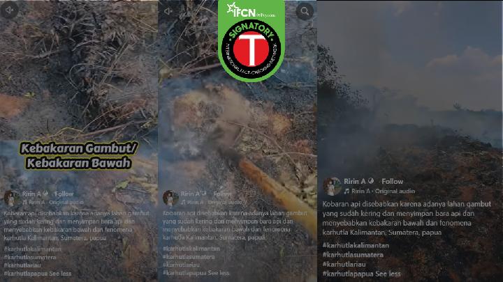 Fact Check: Are Kalimantan Forest Fires Caused by Natural Coal Evaporation?