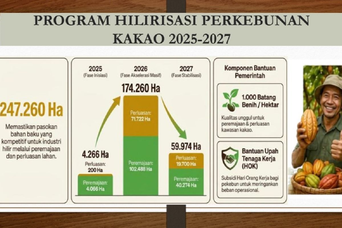 Government prepares cocoa downstreaming and farmer plantation rejuvenation