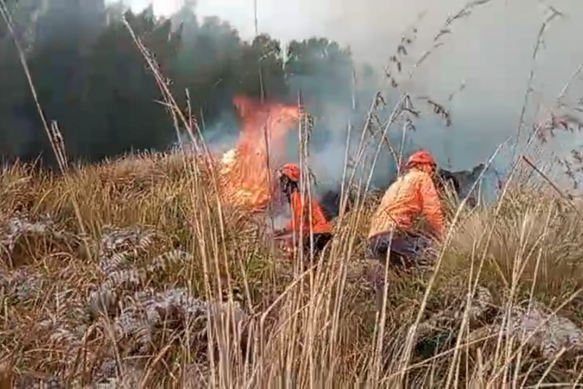 Forest Fires Re-emerge in Mount Bromo Area
