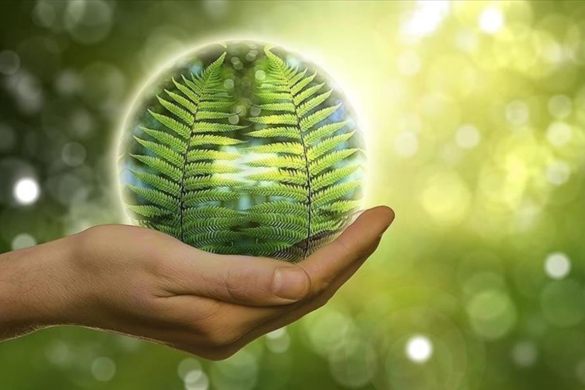 Turning climate warnings into early action