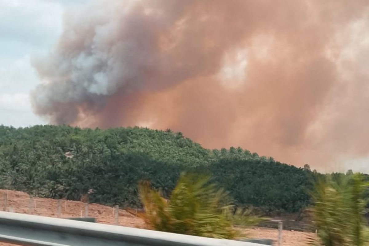 IKN authority intensifies aerial patrols to prevent new wildfires