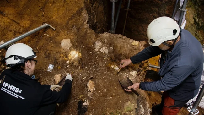 Discovery of 18-Million-Year-Old Creature Could Change Human Origins