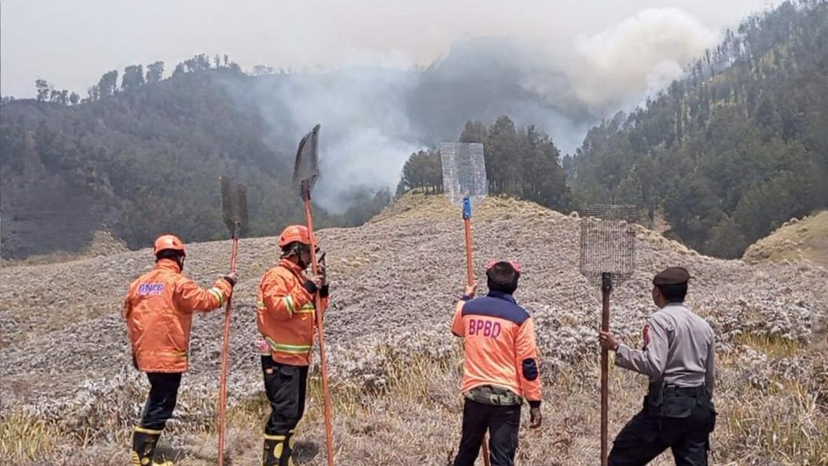 Bromo on Fire Again, Flames Spread to Teletubbies Hill