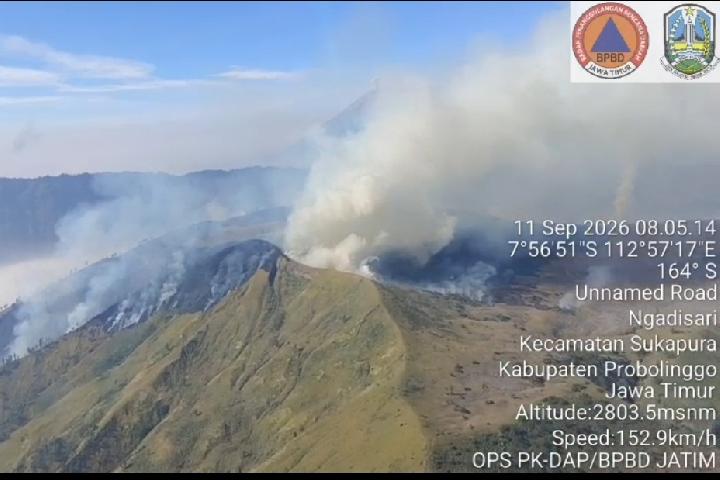Forest Fires Continue to Rage Across 7 Mountains in East Java