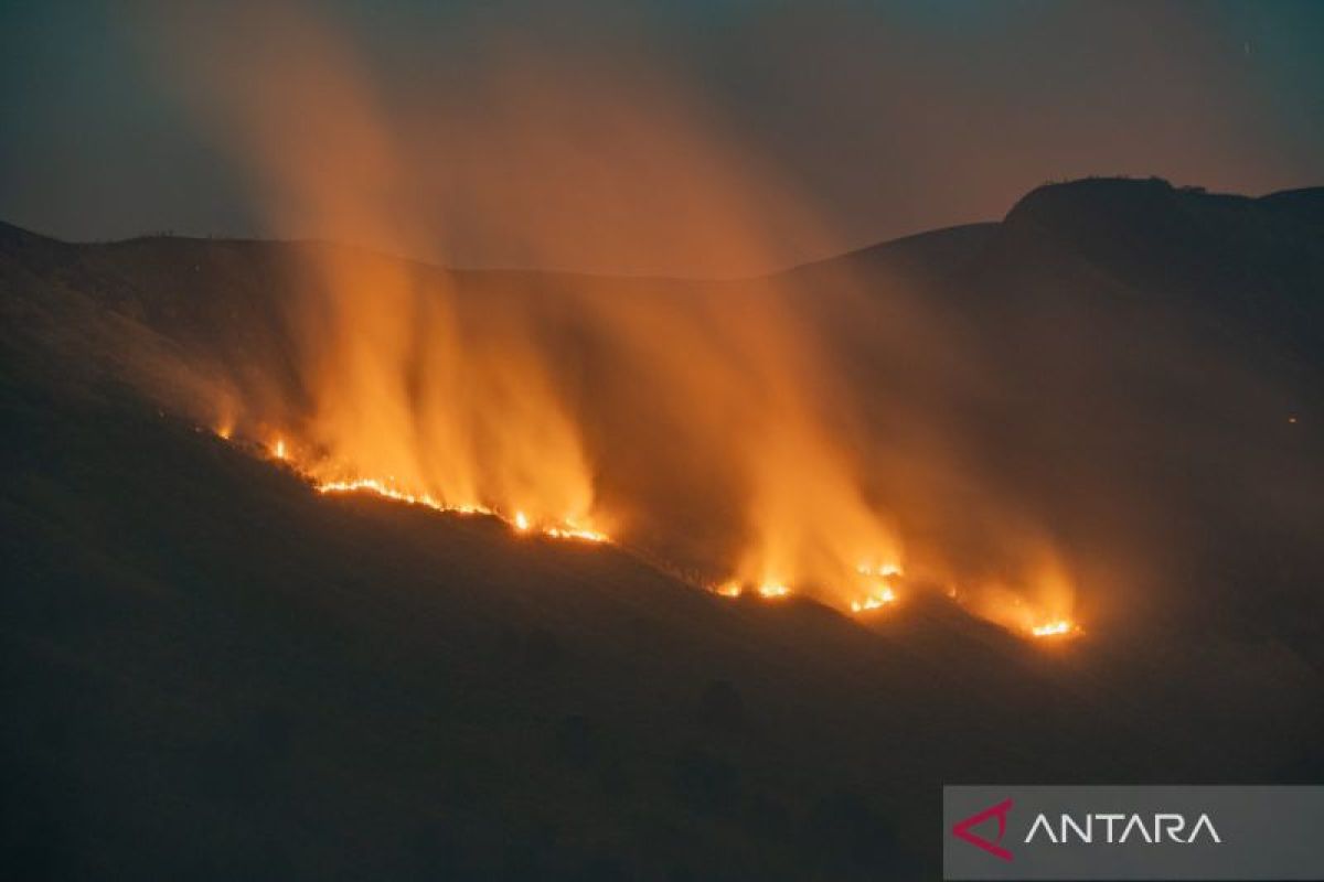 10 Fire Hotspots Detected, Bromo Tengger Semeru National Park Closes Access from Jemplang