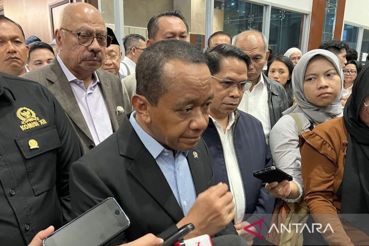 Rusal enters Kalimantan, Minister of Energy and Mineral Resources reveals downstreaming progress
