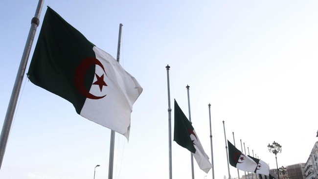 Algeria and UAE Officially Sever Ties: The Reasons Revealed
