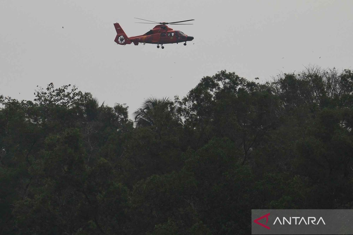 Yesterday's News: Search for Missing Journalists Continues Amid Discovery of Illegal Herbal Medicines