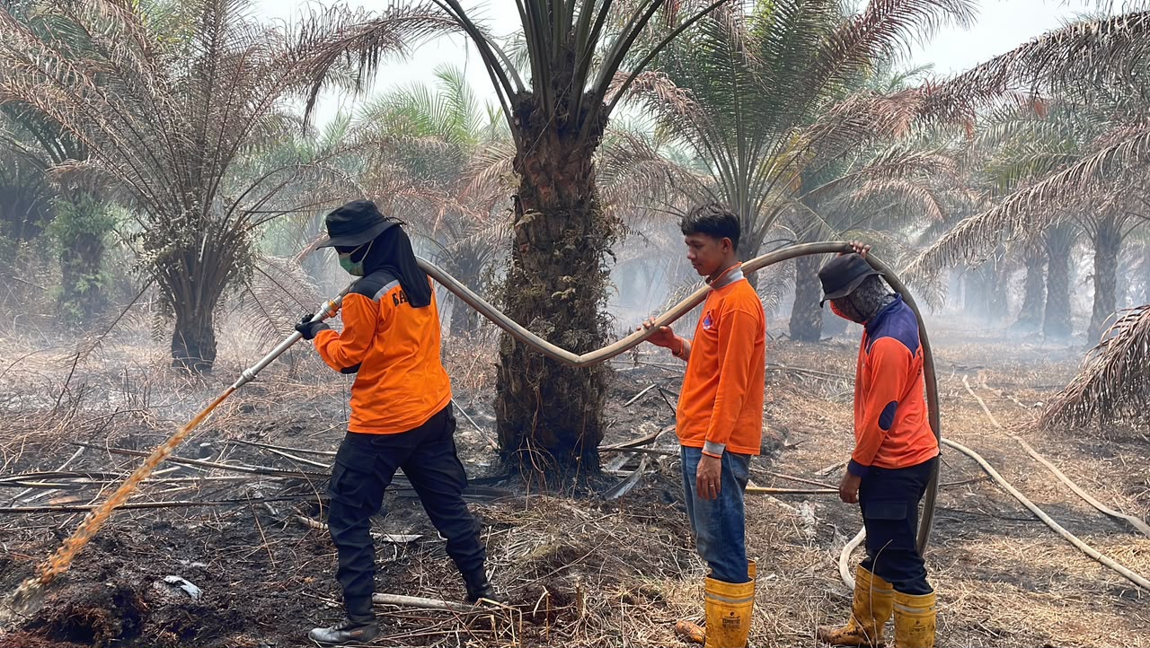 Rainfall Helps Extinguish Several Forest and Land Fire Hotspots in Riau