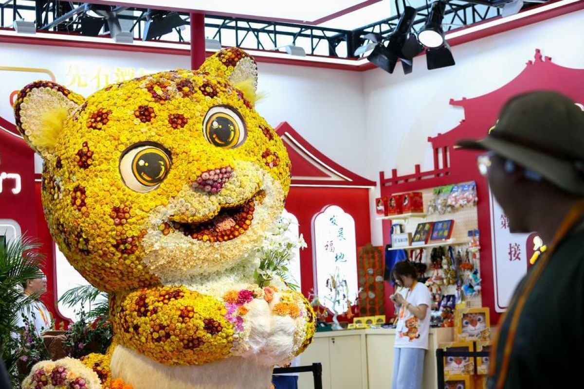 Tradition meets trends at CIFTIS 2026 in Beijing
