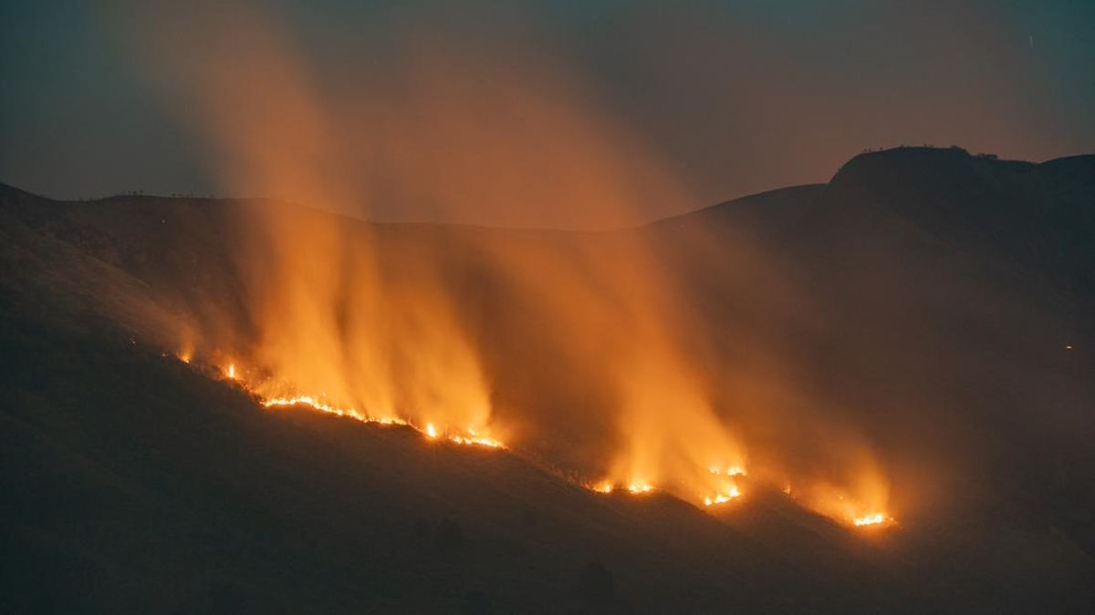 Forest Fires Spread, Mount Bromo Tourism Closed Completely