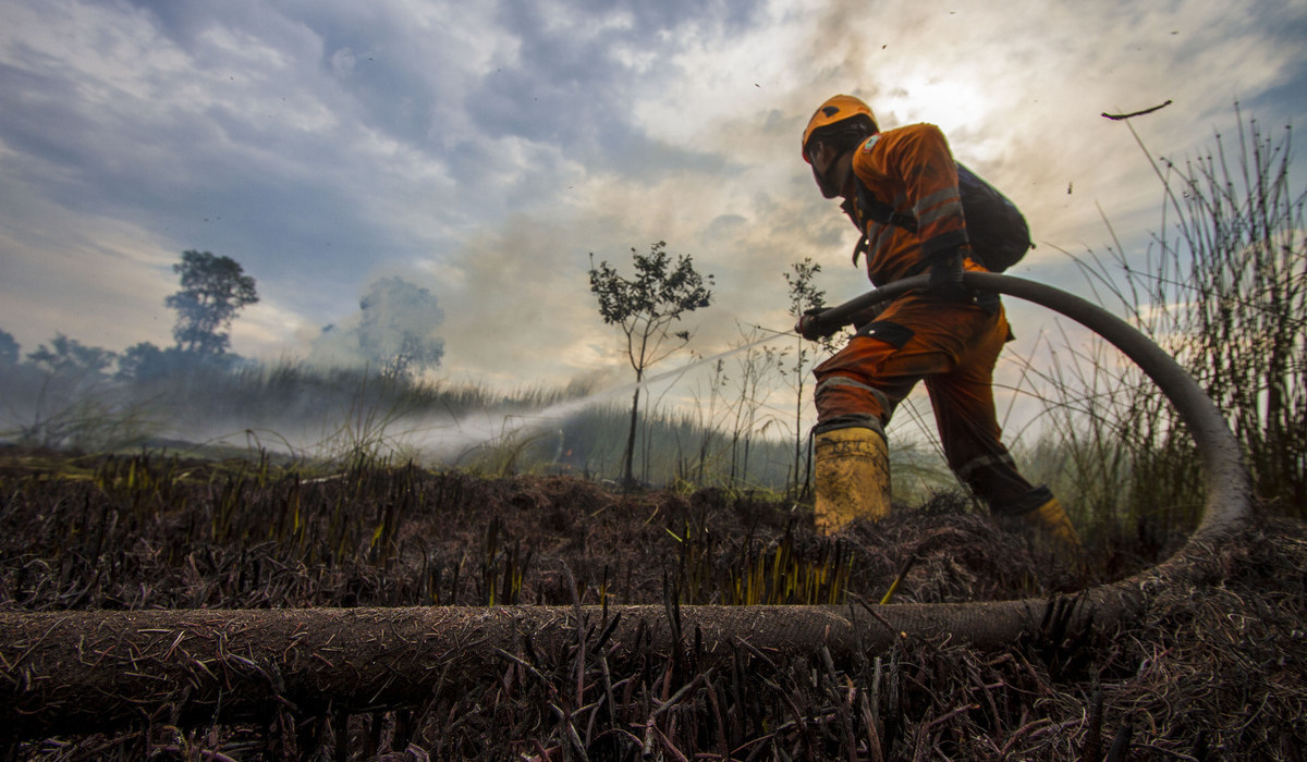 Forest Fires in Syamsudin Noor Airport Ring One Area 80% Controlled