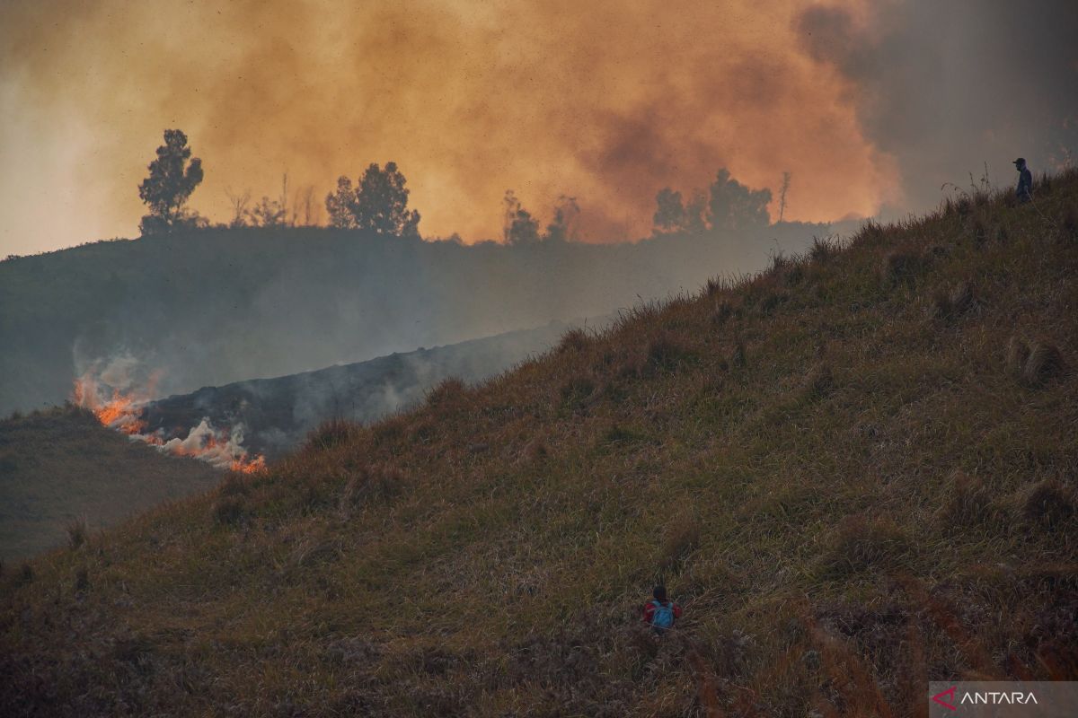 TNBBS Completely Closes Bromo Tourism Activities to Accelerate Firefighting Efforts