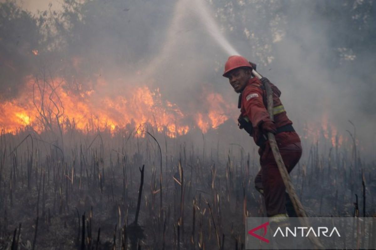 Manggala Agni and Joint Task Force Extinguish Land Fires in Ogan Ilir