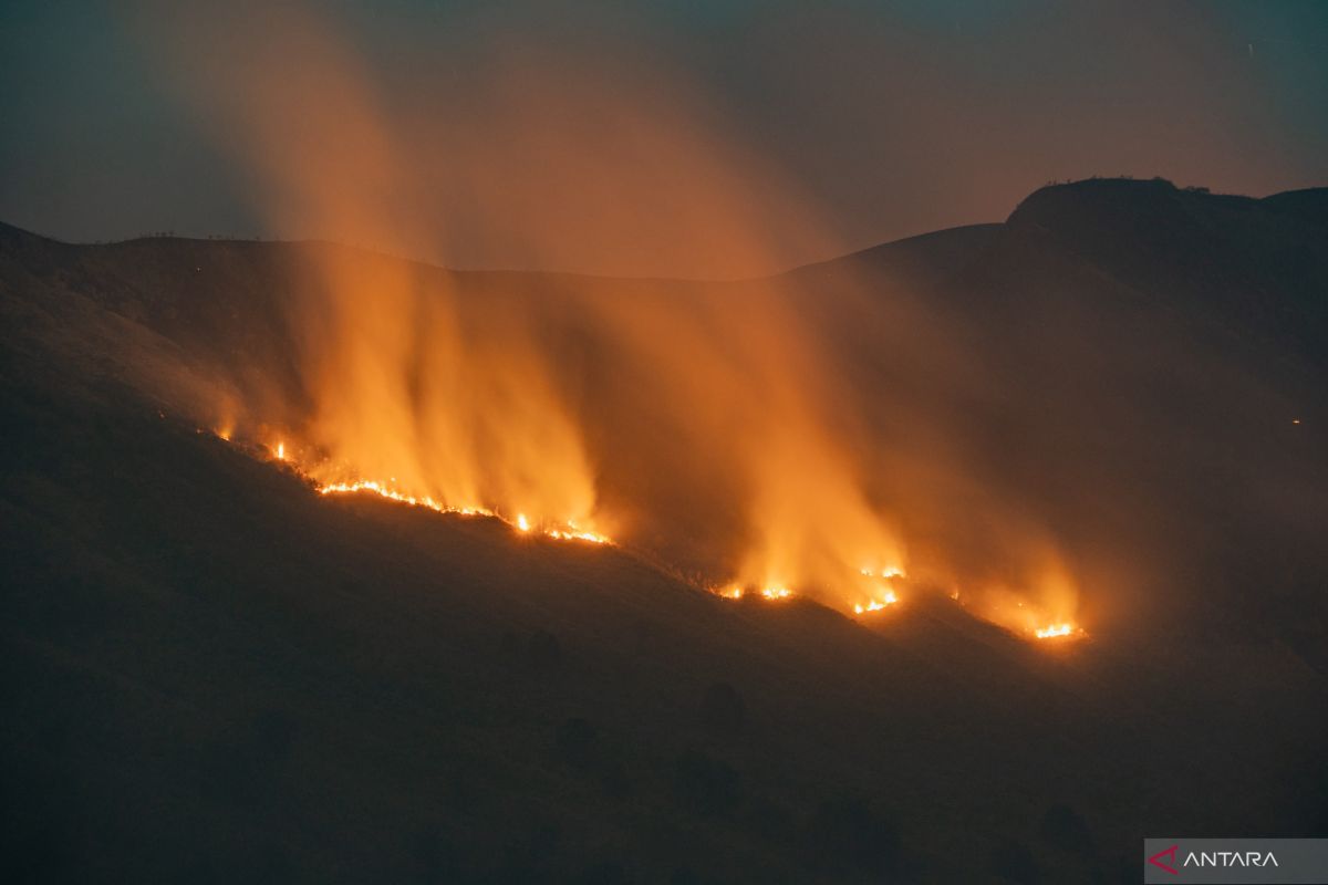 TNBTS reports Bromo area fires spreading to Jemplang, Malang