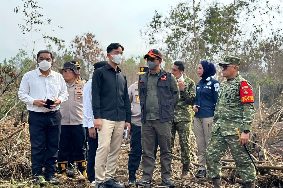 Indonesia intensifies forest fire response in six priority provinces
