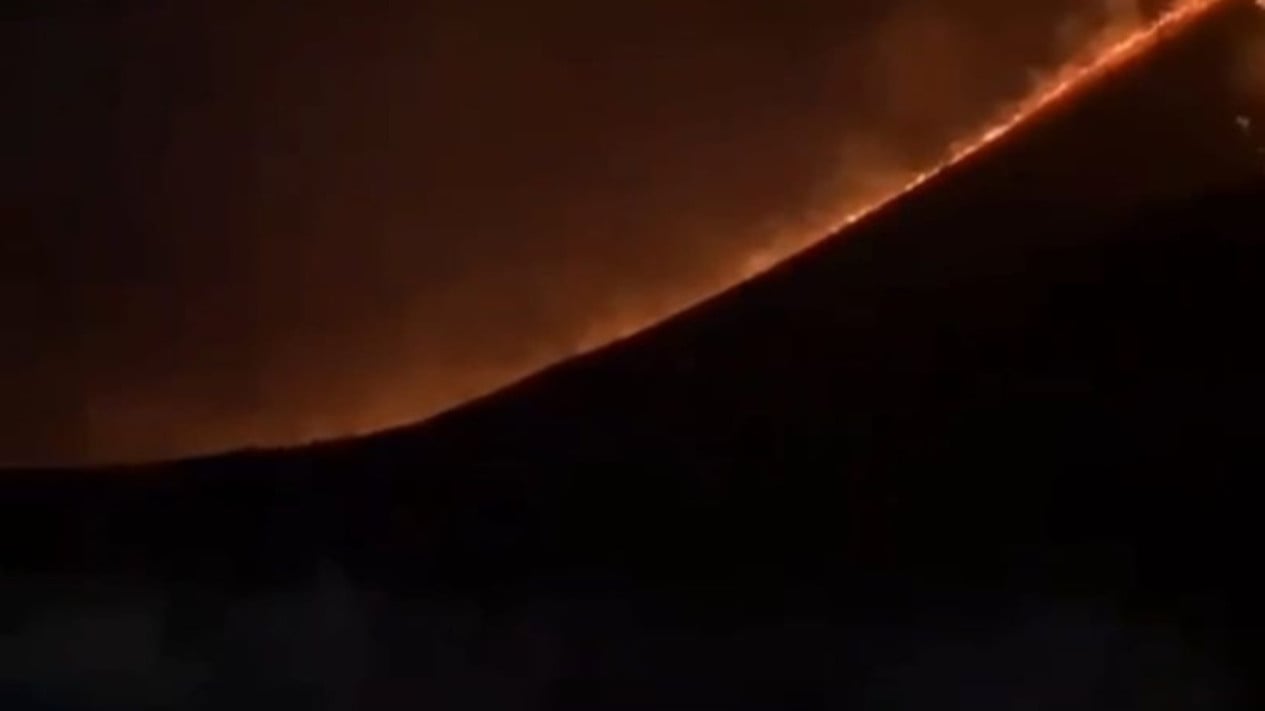 Fire Spreads in Mount Bromo Area, Tourism Activities Completely Closed