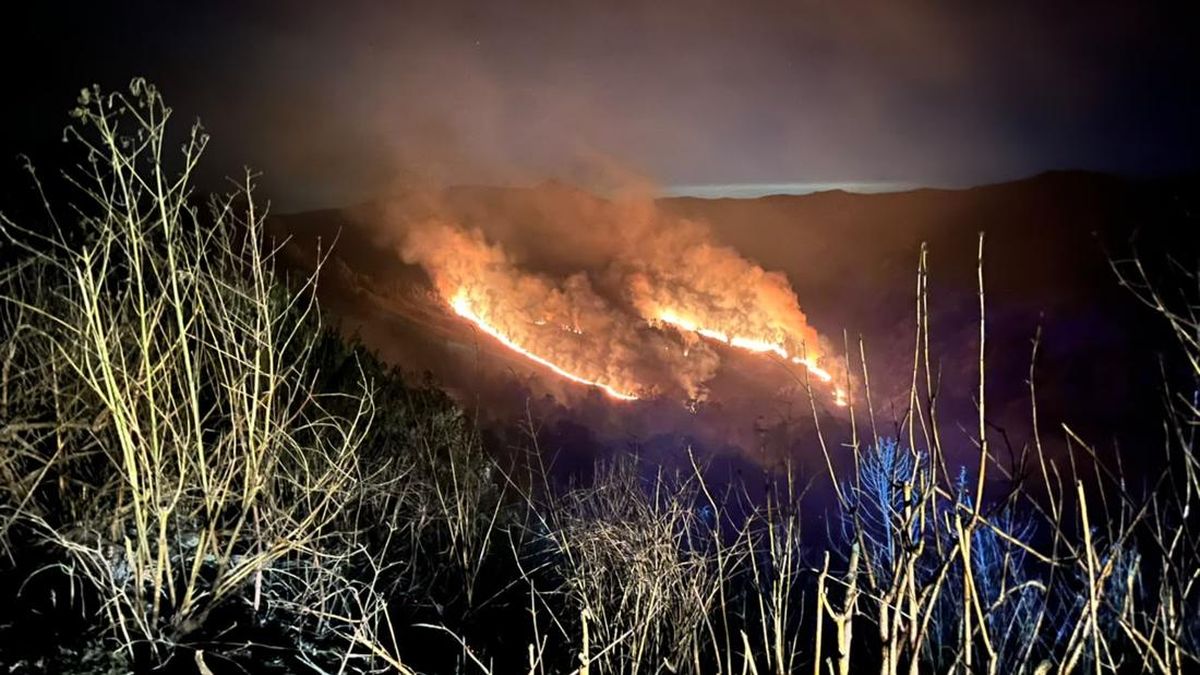 Bromo Fire Spreads to Jemplang, Malang