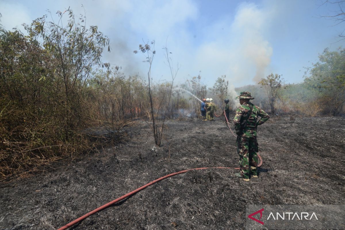 BNPB: 41 Hectares of Land Burnt in Central Java Triggered by Waste Burning
