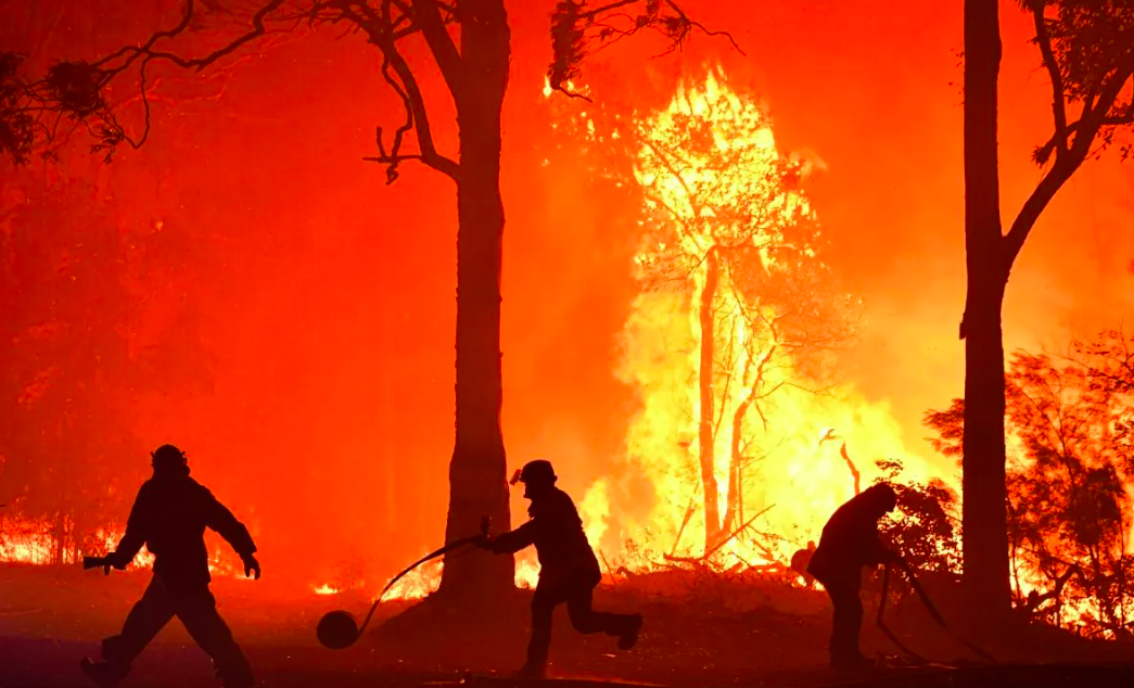 Forest and Land Fire Hotspots in East Kalimantan Rise to 72 Points