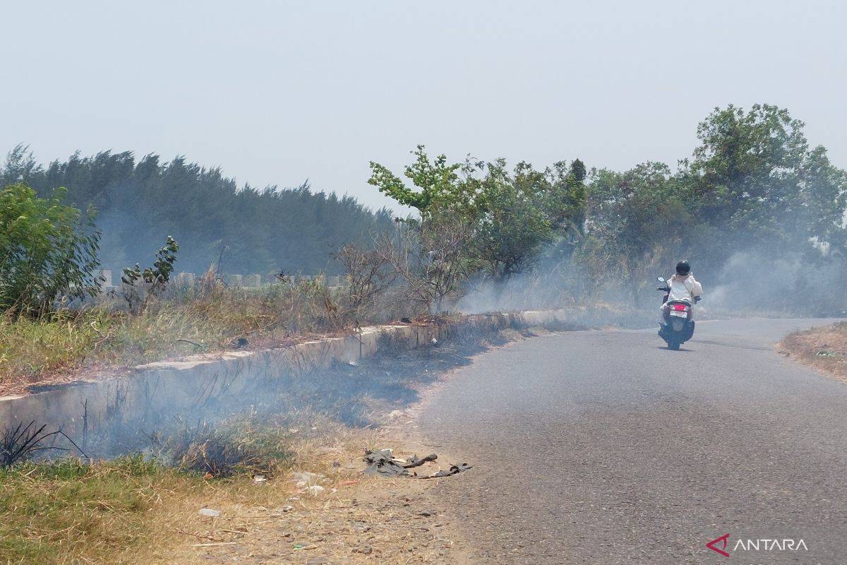 Testing Bengkulu's Preparedness Against Forest and Land Fires